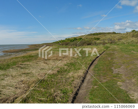 Ameland island in the netherlands Ameland island in the netherlands 115866069