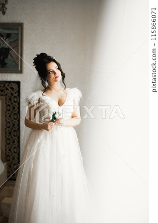 Luxury bride in white dress posing while preparing for the wedding ceremony Luxury bride in white dress posing while preparing for the wedding ceremony 115866071
