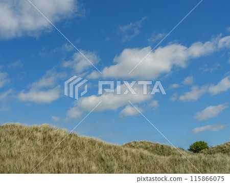 Ameland island in the netherlands Ameland island in the netherlands 115866075