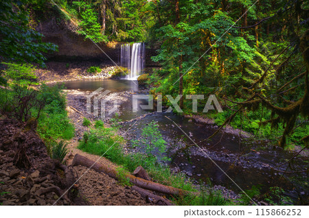 Beaver Falls cascading into a serene pool surrounded by dense forests of Oregon 115866252