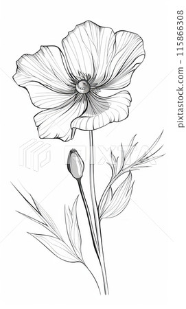 A simple line drawing of a single flower and bud, with a few leaves on a white background.  115866308
