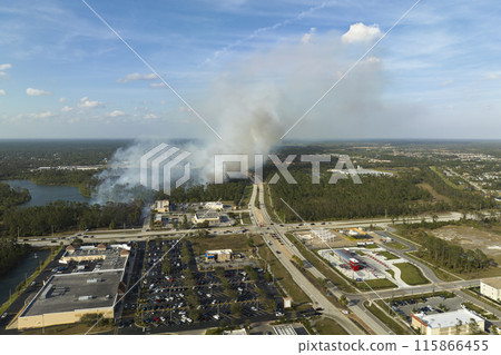 Wildfire burning severely during dry winter season in North Port city, Florida. Thick smoke rising up over suburb homes Wildfire burning severely during dry winter season in North Port city, Florida. Thick smoke rising up over suburb homes 115866455