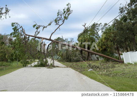 Damaged power lines after hurricane wind broke tree limbs in Florida suburban area. Electricity outage as consequences of natural disaster 115866478