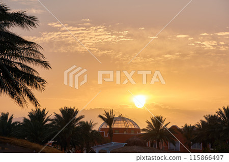Beautiful green coconut palm trees on tropical beach against evening sky. Summer vacation concept Beautiful green coconut palm trees on tropical beach against evening sky. Summer vacation concept 115866497