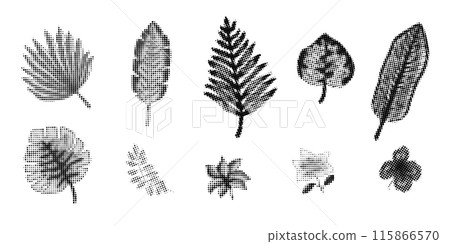Set of trendy vector halftone textured tropical flowers and leaves, exotic plants. Botanical elements with black half tone texture for nature banner, stickers, greeting cards design, patterns 115866570