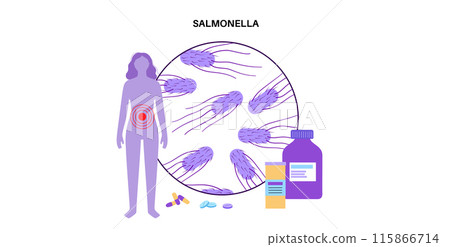.Salmonella Typhimurium Cells .Salmonella Typhimurium Cells 115866714