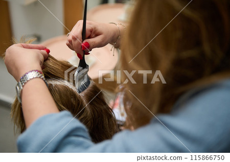 Hair coloring process at a professional beauty salon Hair coloring process at a professional beauty salon 115866750