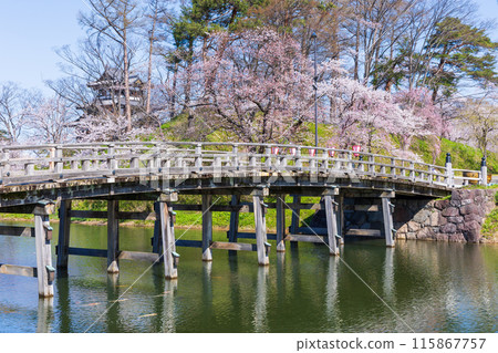 Top 100 Cherry Blossom Spots in Japan: Takada Castle Park, Niigata 115867757