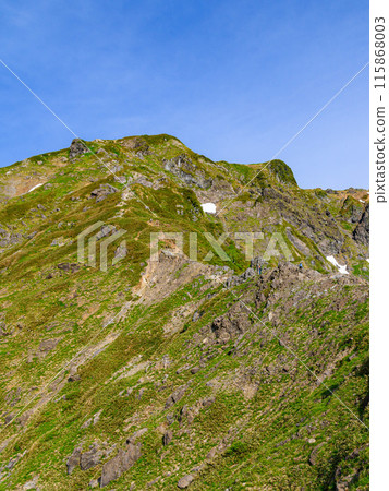 Climbers climbing the steep slope of the Nishikuro Ridge of Mount Tanigawa in early summer in Gunma Prefecture Climbers climbing the steep slope of the Nishikuro Ridge of Mount Tanigawa in early summer in Gunma Prefecture 115868003