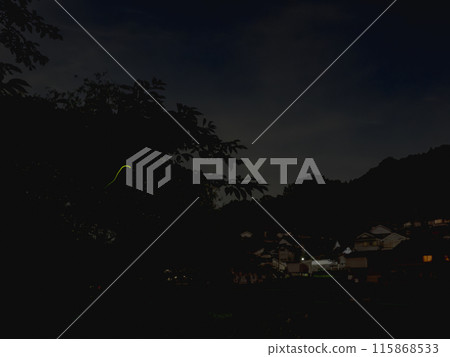 A firefly on a summer night 115868533