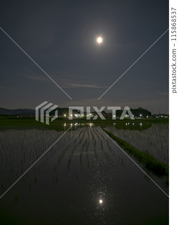 滿月倒映在農村的稻田裡 滿月倒映在農村的稻田裡 115868537
