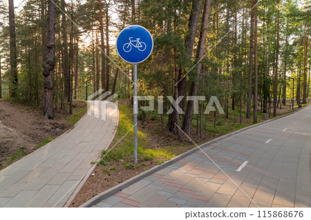 A bike path through a forest 115868676