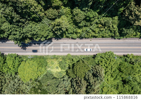 Drone shot: Aerial view of a road surrounded by trees with cars driving on it 115868816