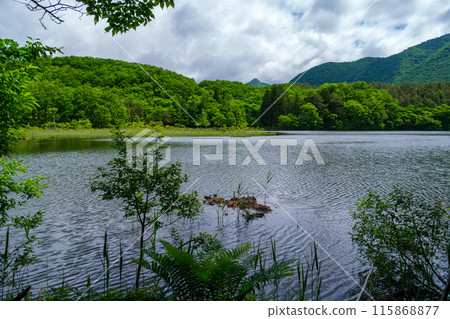 Wavy Waterfront Wavy Waterfront 115868877