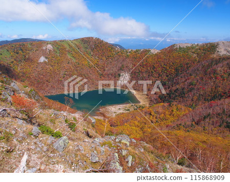 Five colored swamps of autumn Shirane mountain 115868909