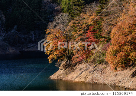 Miyagase Dam in autumn leaves 115869174