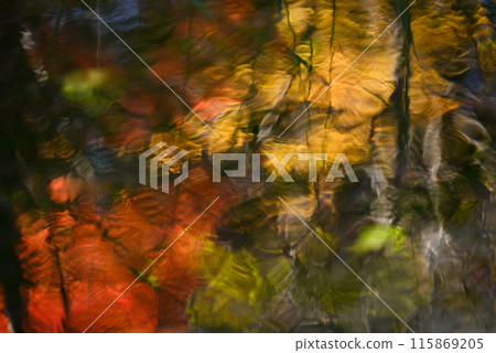 Abstract autumn leaf patterns reflected on the water surface Abstract autumn leaf patterns reflected on the water surface 115869205