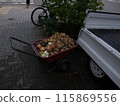 Wheelbarrow and harvested vegetables 115869556