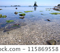 Transparent sea 115869558