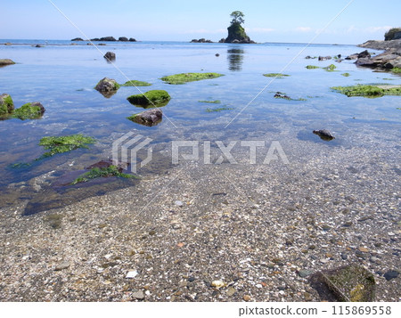 Transparent sea 115869558