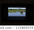The view from the window 115869559