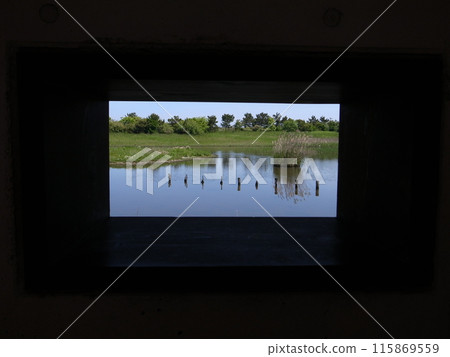 The view from the window 115869559