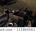 Decayed water tank 115869561