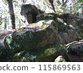 Landscape with rocks 115869563