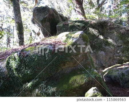 Landscape with rocks 115869563