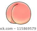 Peach illustration (with main lines) 115869579