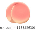 Peach illustration (no main lines) 115869580