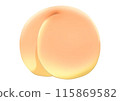 Yellow peach illustration (no main line) 115869582