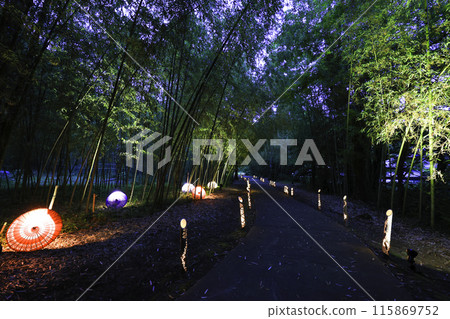 Illuminated bamboo forest and path 115869752