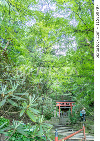 奈良縣飛鳥村,岡寺稻荷神社鳥居,美麗的初夏,綠意盎然 奈良縣飛鳥村,岡寺稻荷神社鳥居,美麗的初夏,綠意盎然 115869797