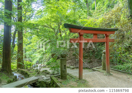 奈良縣飛鳥村,初夏岡寺鳥居美麗的新綠 奈良縣飛鳥村,初夏岡寺鳥居美麗的新綠 115869798