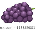 Purple grape illustration (no main lines) 115869881