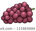 Illustration of purple grapes (with main lines) 115869884