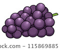 Purple grape illustration (with outline) 115869885