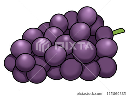 Purple grape illustration (with outline) 115869885