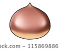 Chestnut illustration (with outline) 115869886