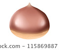 Chestnut illustration (no main lines) 115869887