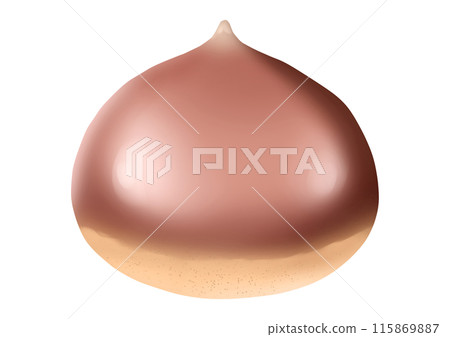 栗子果實插畫(無主線) 栗子果實插畫(無主線) 115869887