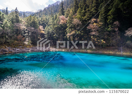 Jiuzhaigou, China 115870022
