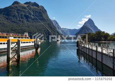 Landscape in New Zealand Fjordland, Milford Sound 115870202