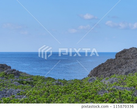 Scenery around Tooriike Pond on Shimoji Island/Miyakojima City, Okinawa Prefecture 115870336