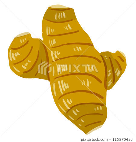 ginger ginger 115870453