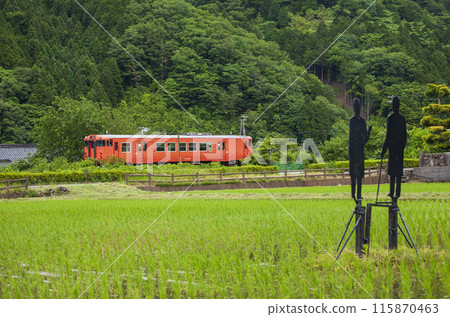 水稻插秧後的基哈 115870463