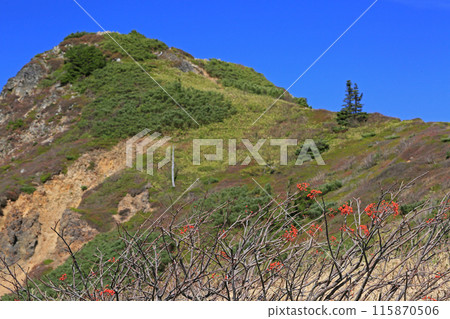 Nanakamado水果 Nanakamado水果 115870506