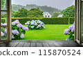 Hydrangeas blooming in the garden (AI-generated image) 115870524