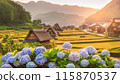 A rural area with blooming hydrangeas (AI-generated image) 115870537